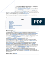 Platelmintos, Que Son y Su Clasificacion