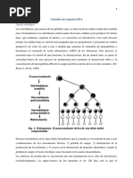 Anemia No Regenerativa