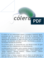 Colera 2 Exposicion