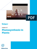 L6 Photosynthesis