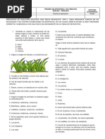 Evaluaciones 3° Ciencias Tercer Periodo