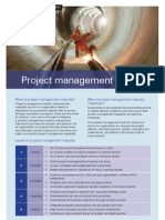 ProjectManagementMaturity v3