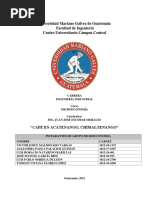 Cafe en Acatenanago Chimaltenango - Grupo 07 Microeconomia Proyecto Final