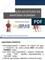 Histórico Da Anatomia