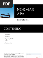 Entrega 1 - Normas APA-4