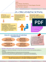 Psicología Organizacional