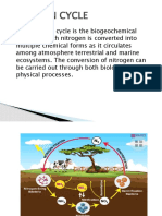 Nitrogen Cycle