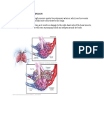 Pulmonary HTN