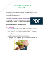 Alimentacion o Nutricion de La Gestante Estrella