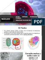 Exposición Nucleo