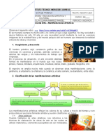 II Manifestaciones Arta - Sticas