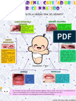 Infografia - Normalidad en La Cavidad Oral en El Recien Nacido