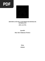 Identificación de La Necesidad de Sistemas de Información AP01-AA1-EV01