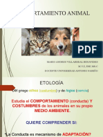 Comportamiento Animal