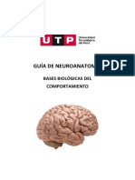 S5.s2 - Guía de Neuroanatomía - Completa