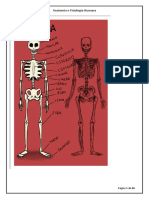 Aulas de Anatomia e Fisiologia