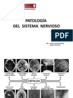 Patologia Sist - Nervioso 2