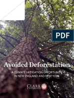 Avoided Deforestation: A CLIMATE MITIGATION OPPORTUNITY IN NEW ENGLAND AND NEW YORK