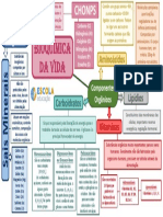 Mapa Mental Bioquímica Da Vida 1