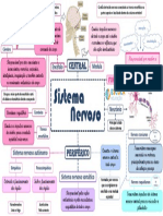 Mapa Mental Sistema Nervoso