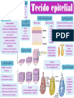 Mapa Mental Tecido Epitelial