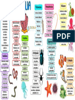 Mapa Mental Reino Animalia