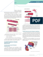 Histologia V: Tecido Muscular