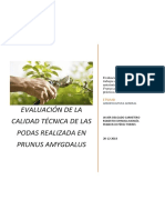 Práctica 3. Evaluación de Poda (Calificación 9)