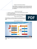 Fisiología de Aldosterona y Cortisol