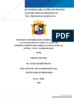 Quispe, T. 2018. Densidad y Diversidad de Anfibios Anuros de Cacaotales de San Gabán y La ZA Del PN Bahuaja Sonene