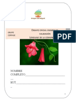 Examen 5to Leng. 2021 Corregido