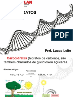 Carboidratos - UNIPLAN