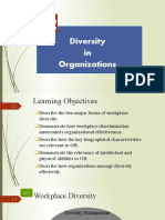 Chapter 2 Diversity in Organizations 