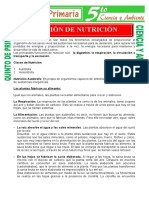 Función de Nutrición para Quinto de Primaria