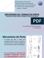 Mecanismo Del Trabajo de Parto