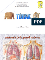 Anatomia de Pared Toracica