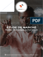 AfrikaTech Extrait Etude de Marché Secteur Numérique Au Cameroun