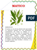 Plantas Medicinales