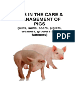 Tips in The Care and MGT of PIGS PDF