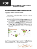 Replicación ADN