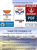 Top Companies in Oil and Natural Gas Sector