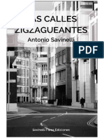 Novela Las Calles Zigzagueantes