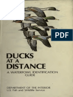 Hines B Ducks at A Distance A Waterfowl Identification Guide