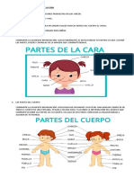 1° Ciclo - CN - Cuerpo Humano - Docx-1