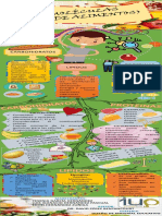 Infografia de Nutricion