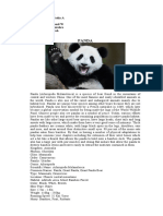 Descriptive Text Panda Dan Monyet Bahasa Inggris