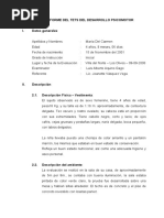 Informe TEPSI