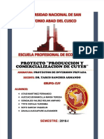 PDF Proyecto Cuy Fffffffffdocx - Compress