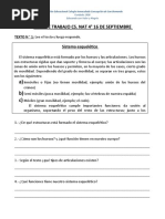 Guía Sistema Òseo y Muscular CS Nat 4º Bàsico