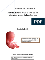 Desarrollo Del Feto, El Feto en Los Diferentes Meses de Embarazo